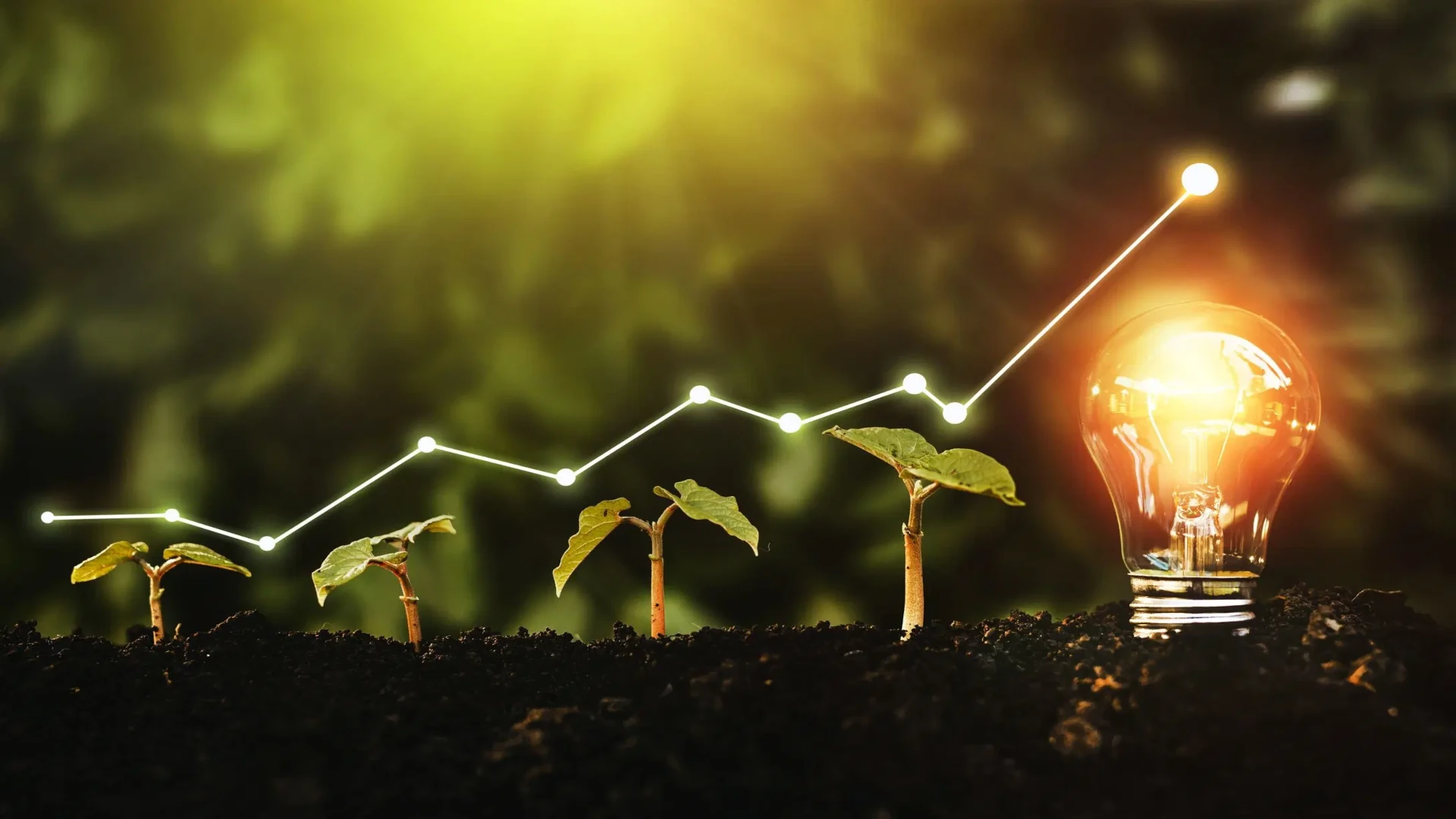Innovation and technology background